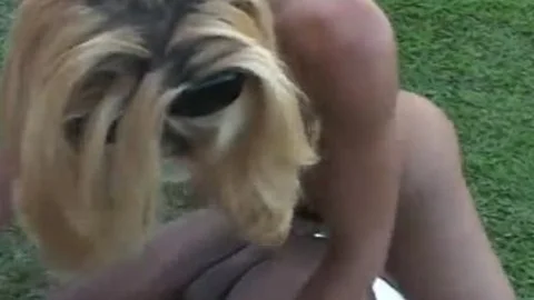 Two gay dudes And ladyboy Lisa Lawer outside plowing Each Others butt Holes
