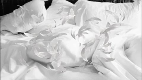 Threesome Delight: Two Shemales, One Guy