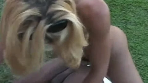 Two gay dudes And ladyboy Lisa Lawer outside plowing Each Others butt Holes