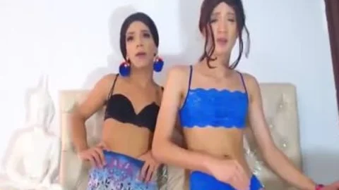 Two excited shemales stroking On cam