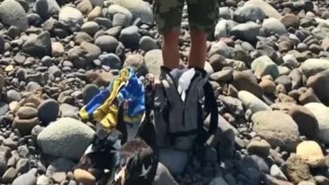 outdoors Beach Masturbation oral sex jack off And A enormous cumshot